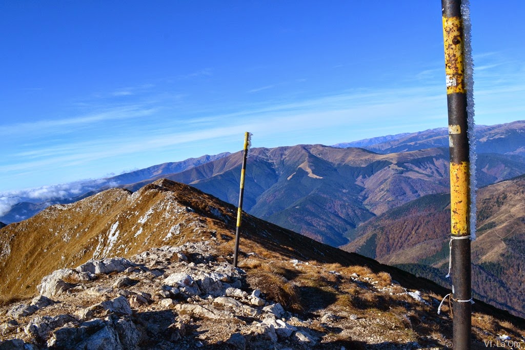 [DSC_56315.jpg]