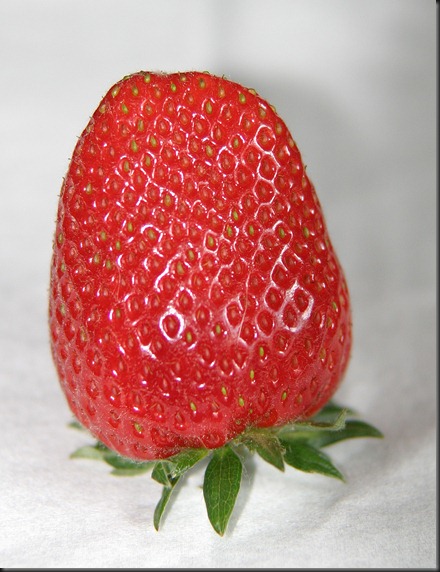 Strawberry Mmmmm 2