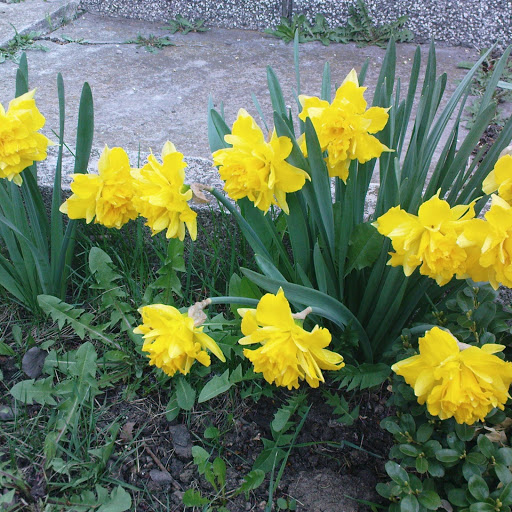 Hd-156087-ascw156087