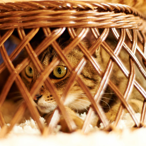 Hd-157608-ascw157608