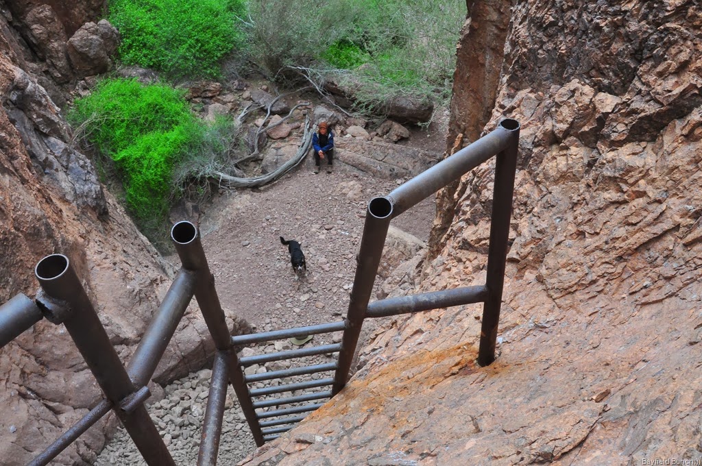 [DSC_0020%255B4%255D.jpg]