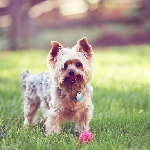 Hd-173822-ascw173822