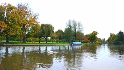 The view down river (or is it it 'up'?)