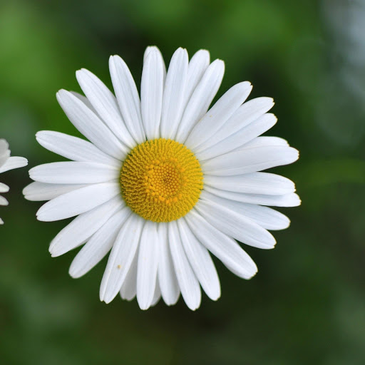 Hd-177454-ascw177454