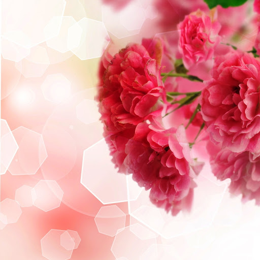 Hd-142679-ascw142679