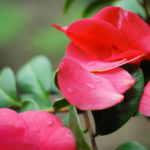 Hd-143207-ascw143207