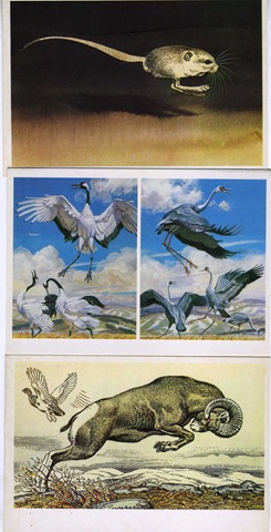 [GORBATOV3034%255B6%255D.jpg]