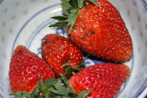 20090602 (1) (Small)