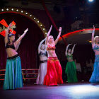 IMG_7972.jpg