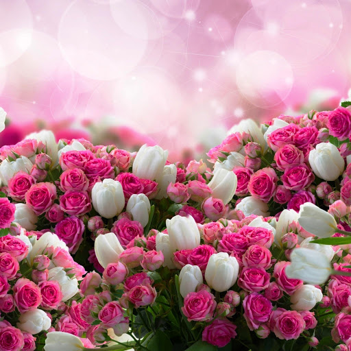 Hd-152231-ascw152231