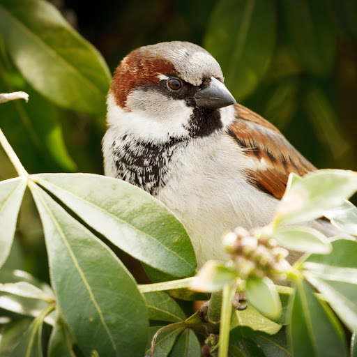 Hd-158462-ascw158462