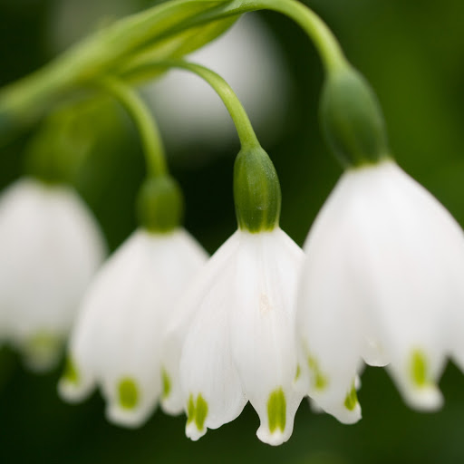 Hd-145645-ascw145645