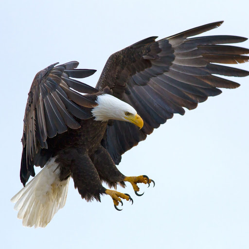 Hd-158206-ascw158206