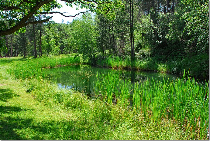 Grace Coolidge Pond