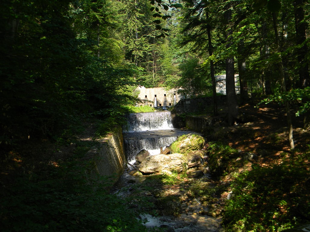 [DSCN31763.jpg]