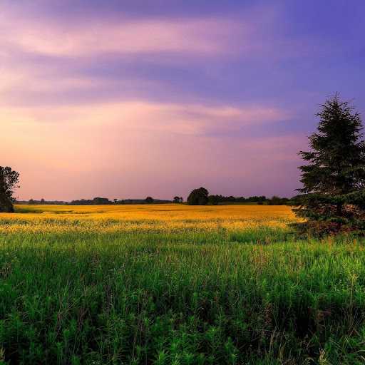 Hd-150101-ascw150101