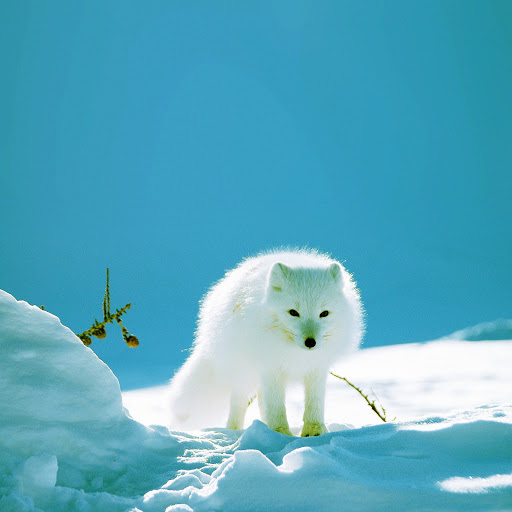 Hd-160751-ascw160751