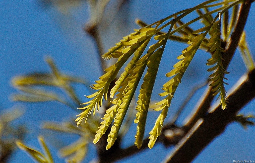 [DSC_3547%255B3%255D.jpg]