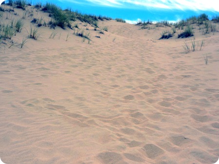 walking on the dunes