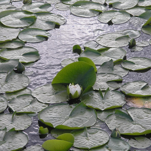 Hd-131626-ascw131626