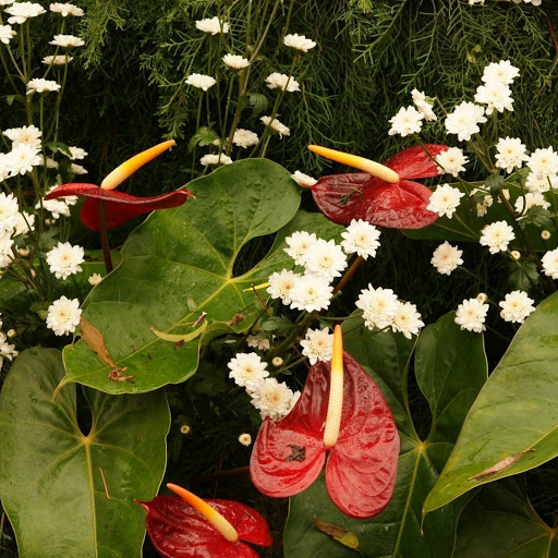 Hd-140585-ascw140585