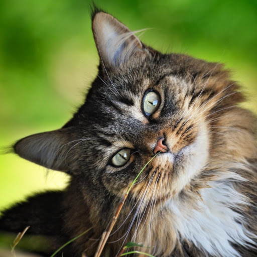 Hd-182403-ascw182403