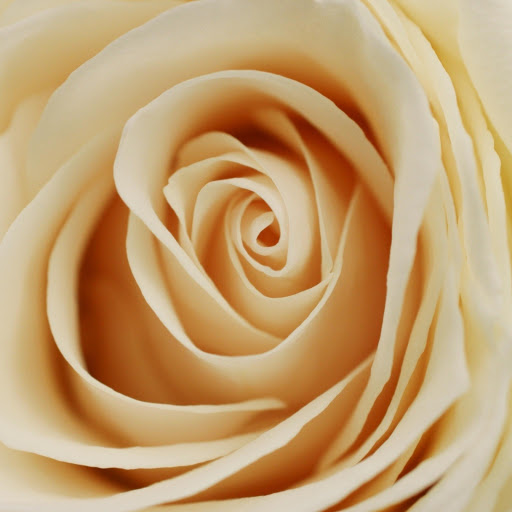 Hd-164580-ascw164580