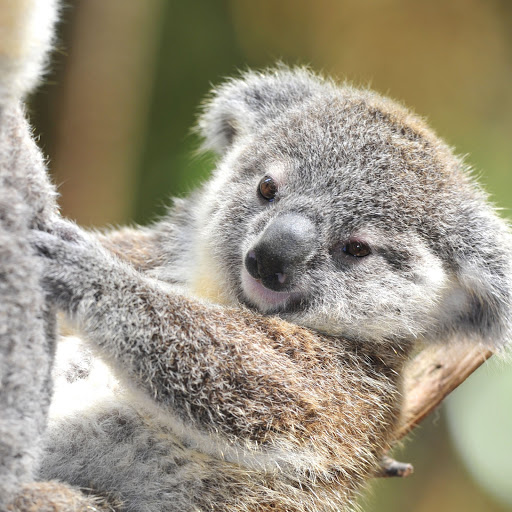 Hd-173478-ascw173478