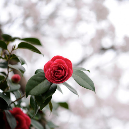 Hd-171364-ascw171364