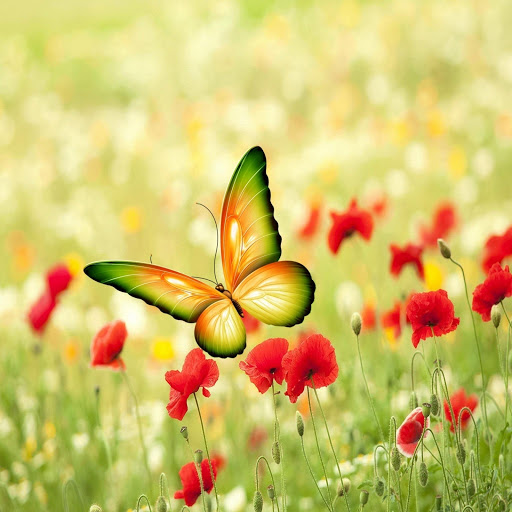 Hd-137468-ascw137468