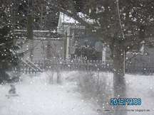 PICT1433[10]-SNOW