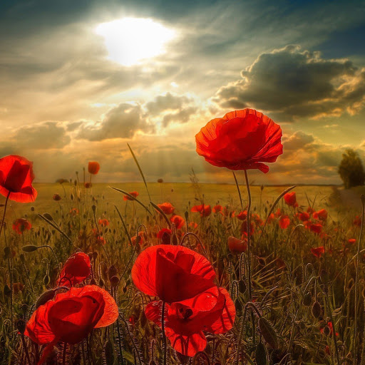 Hd-182643-ascw182643