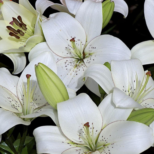 Hd-144924-ascw144924