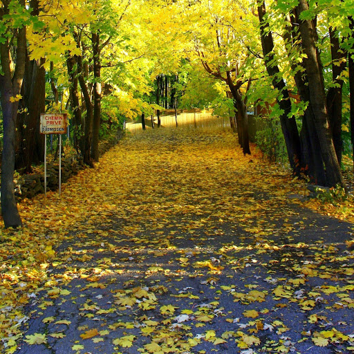 Hd-161091-ascw161091