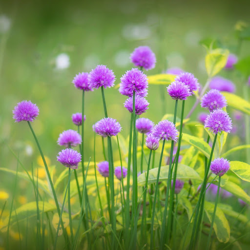 Hd-171643-ascw171643