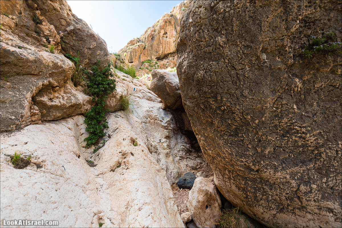 LookAtIsrael.com - Ручей (нахаль) Талкид | Nahal Talkid | נחל תלקיד