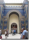 IMG_6981 IMG_6981