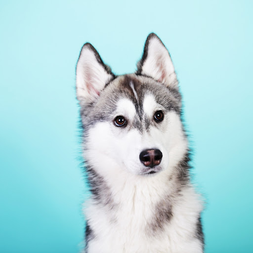 Hd-181096-ascw181096