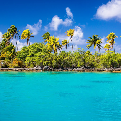 Hd-175513-ascw175513