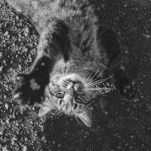 Hd-148213-ascw148213