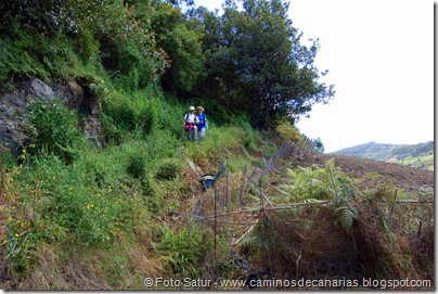 5490 La Laguna-Vueltas Acero-Firgas 5490 La Laguna-Vueltas Acero-Firgas