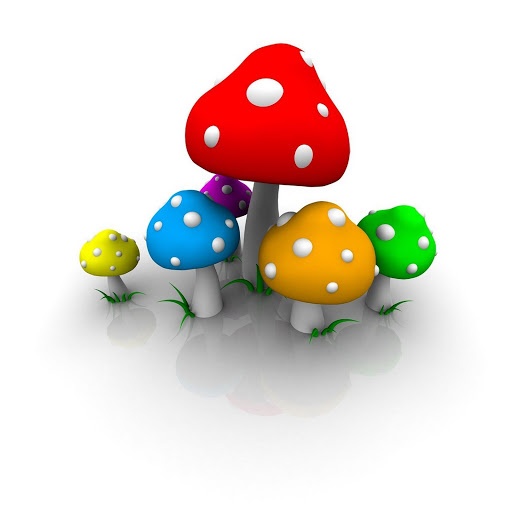 Hd-133025-ascw133025