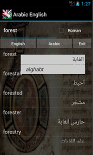 Arabic English Dictionary Screenshots 6
