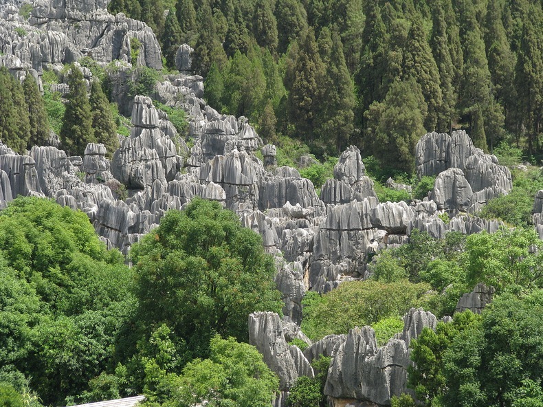 shilin-stone-forest-6