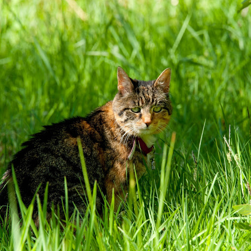 Hd-152856-ascw152856