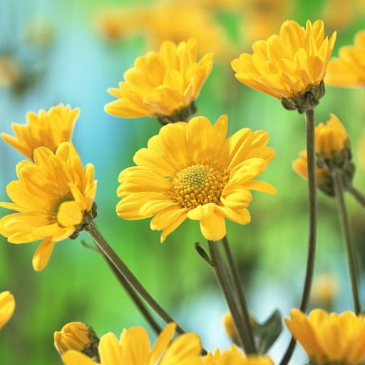 Hd-172730-ascw172730