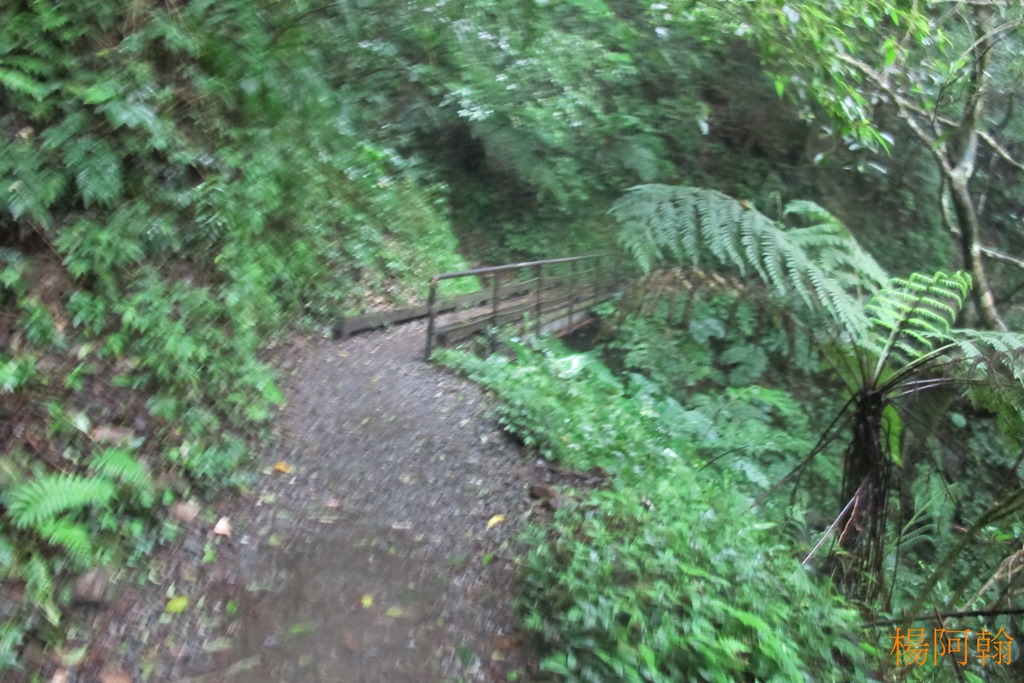 [0508-043---5.jpg]