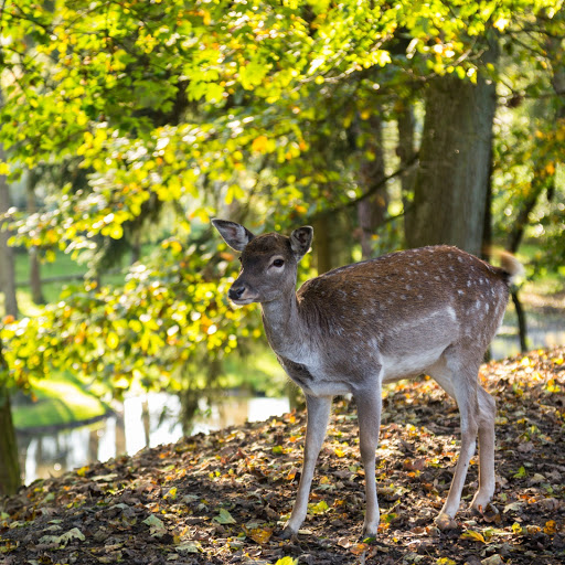 Hd-157057-ascw157057