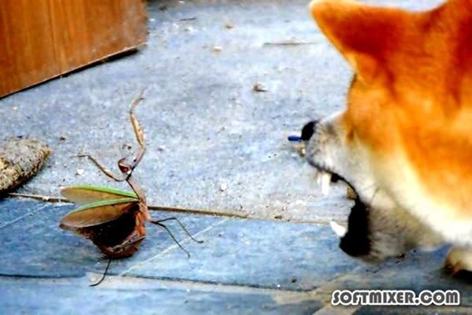 [02035701%255B2%255D.jpg]