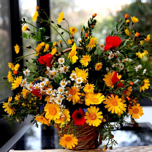 Hd-166828-ascw166828